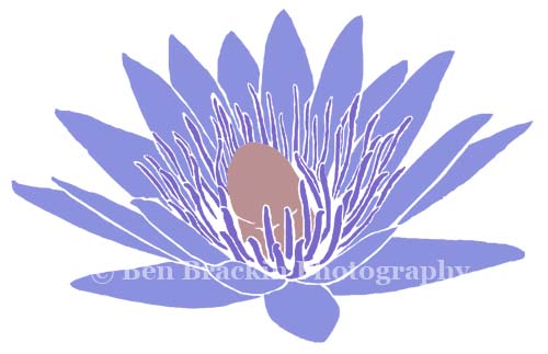 Botanical by Ben Brackin